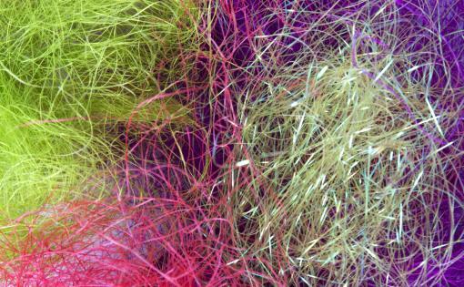 Biotechnological Development Of New Millennium Fibres